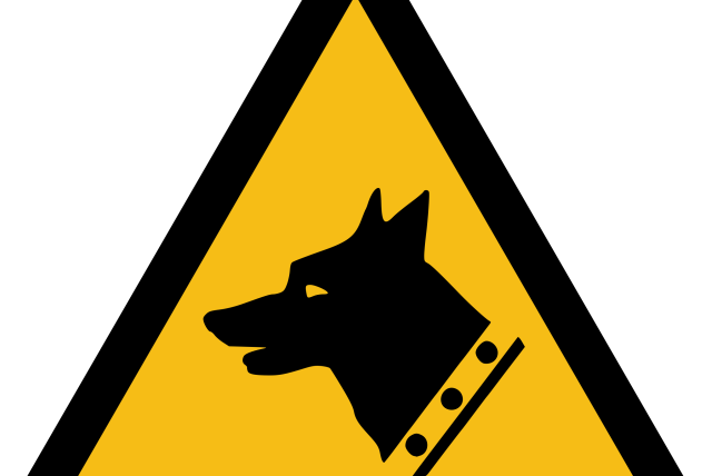 Cave canem