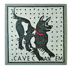 Cuidado con el perro